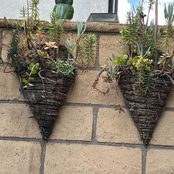 Set of 2 planters  full of succulents