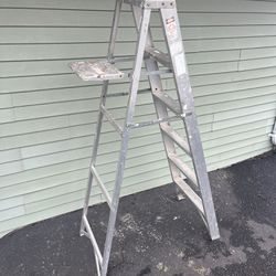 6 ft. Step Ladder 
