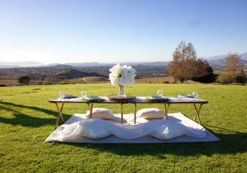 Luxury Picnic