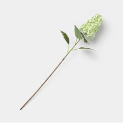 Threshold Green Hydrangea Branch