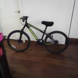 Mountain Bike