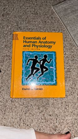 Essentials of human anatomy and physiology fifth edition
