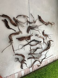 Driftwood/Desert Ironwood! Aquarium, fish tank, reptile habitat