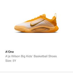 BRAND NEW IN THE BOX A’ja Wilson Size 5Y Girls Basketball Shoes