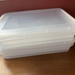 Kitten Sifting Litter Boxes