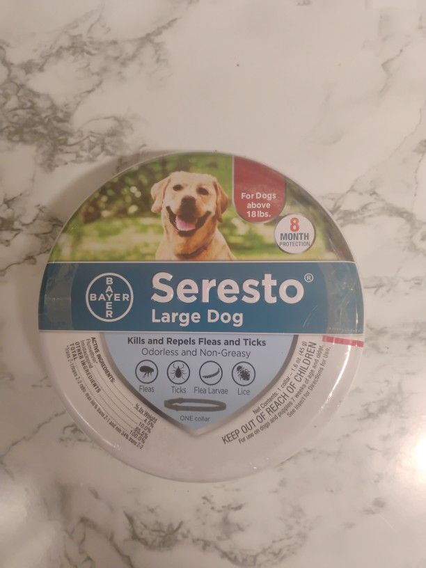 Summer Time Dog Collars