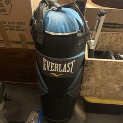 Everlast Punching Bag