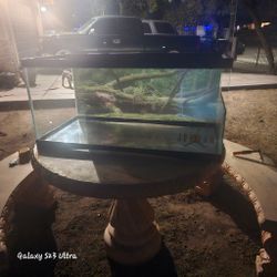 Reptile Tanks 50 Gallons 