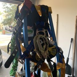 Large 3m harness 