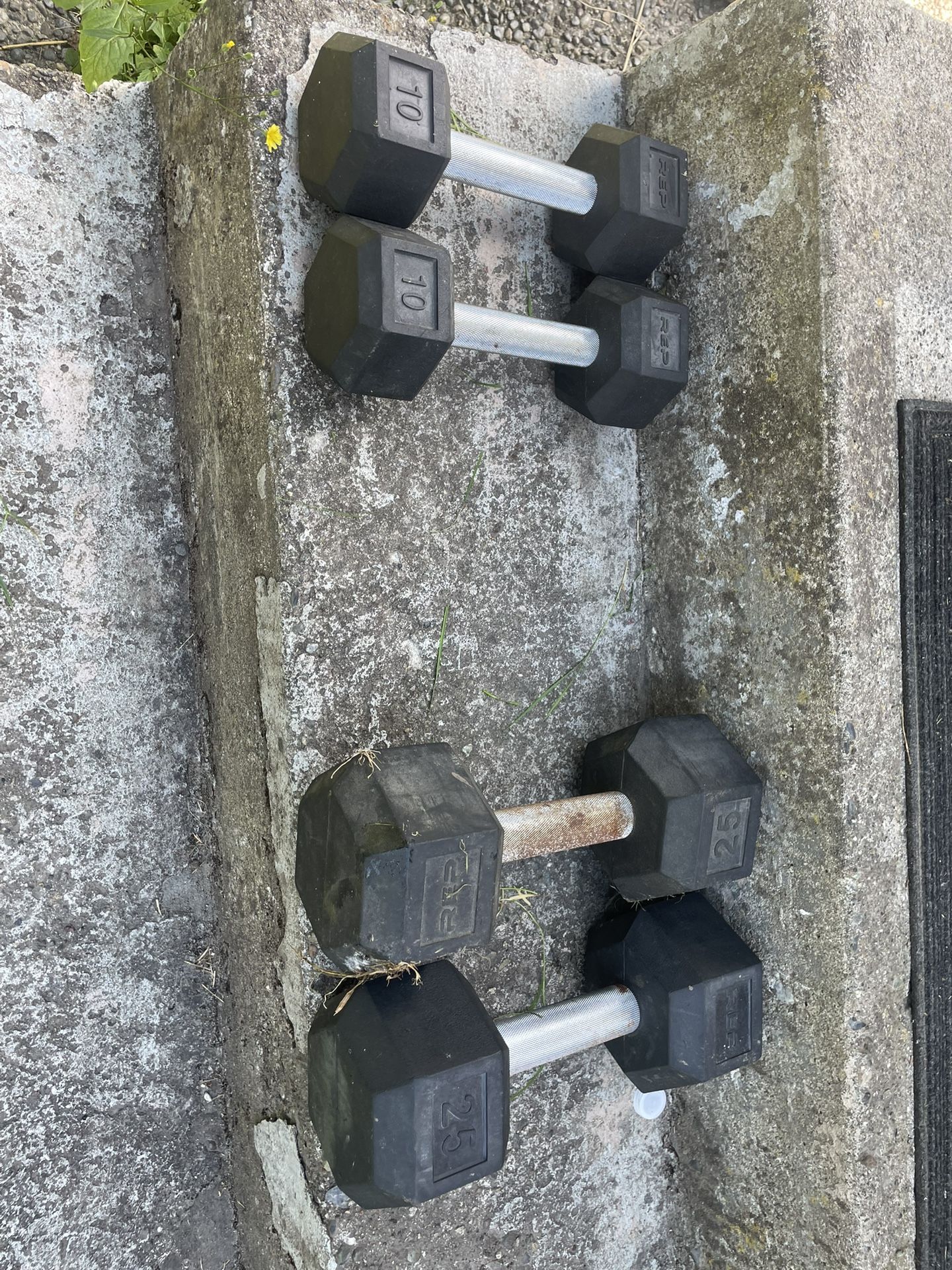 Dumbbells. 10lbs And 25lbs