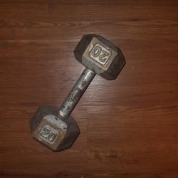 20lbs Dumbbell