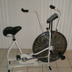 Schwinn Airdyne Exercise Bike 
