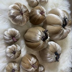 New: 12 piece Autumn Artificial Velvet Pumpkin Set Champagne