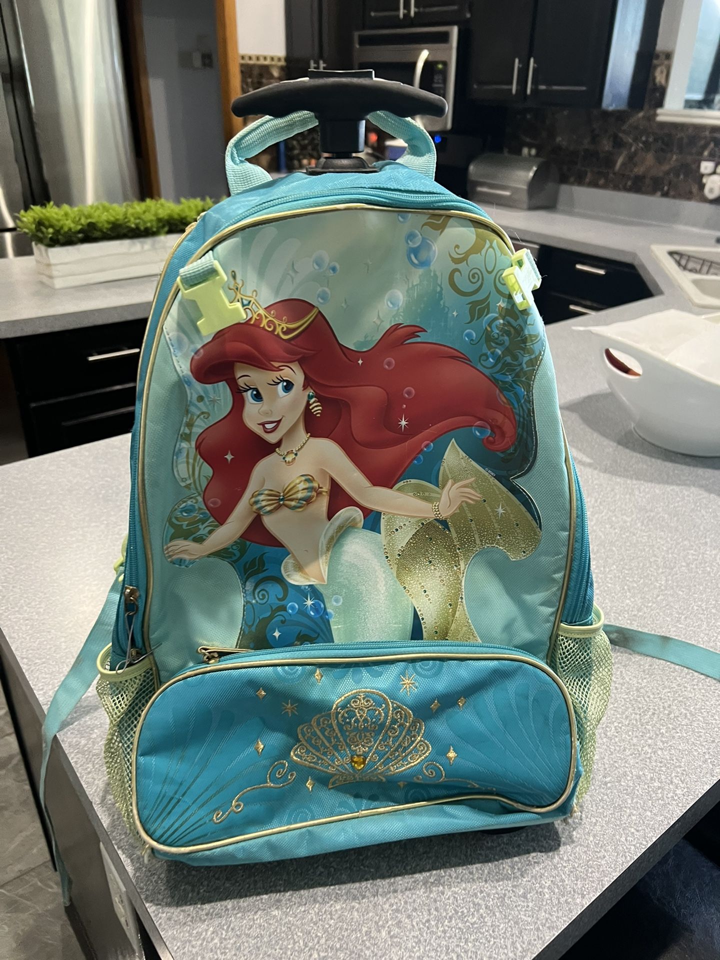 Backpack With Weels Great Condition 