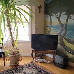 estate  sale- everything must go