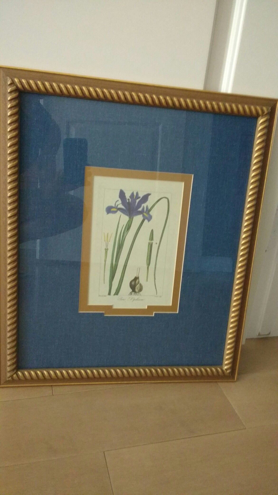 Framed artwork.