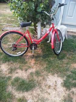 Red iped sales folding bicycle