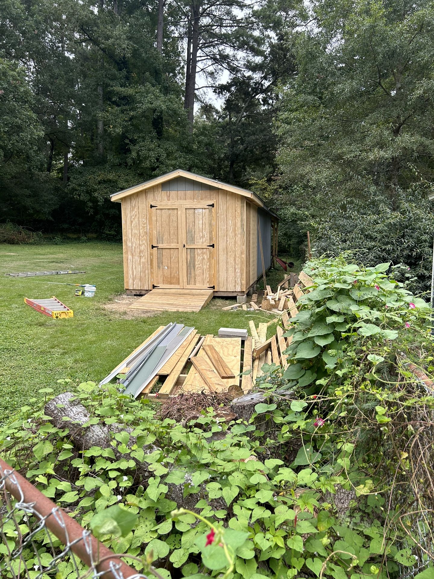Shed