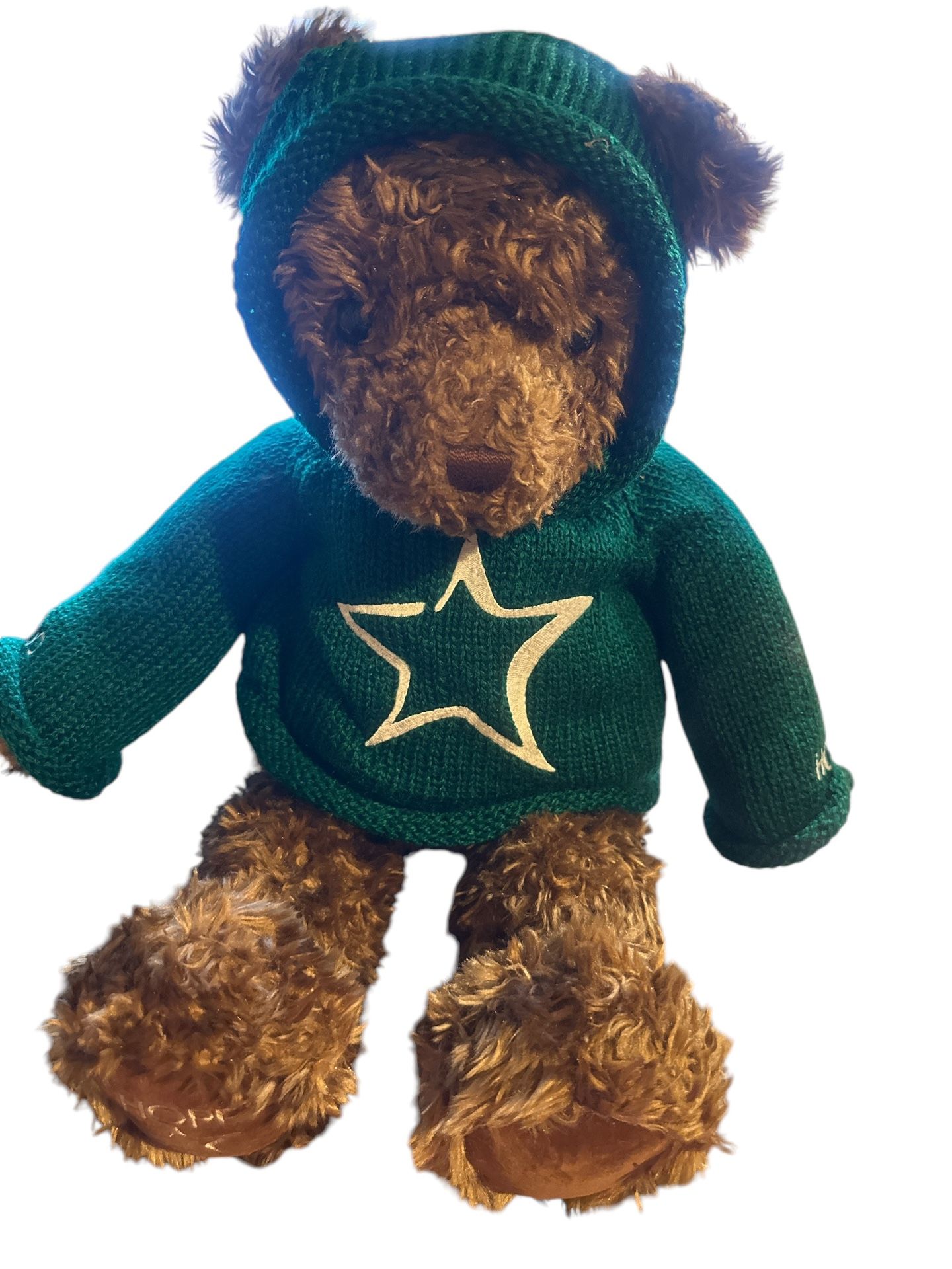 VTG Gund Hope Millenium 2000 Plush 26" Teddy Bear Green Hoodie Limited Kaufmanns. Great Condition is "Used". T-229