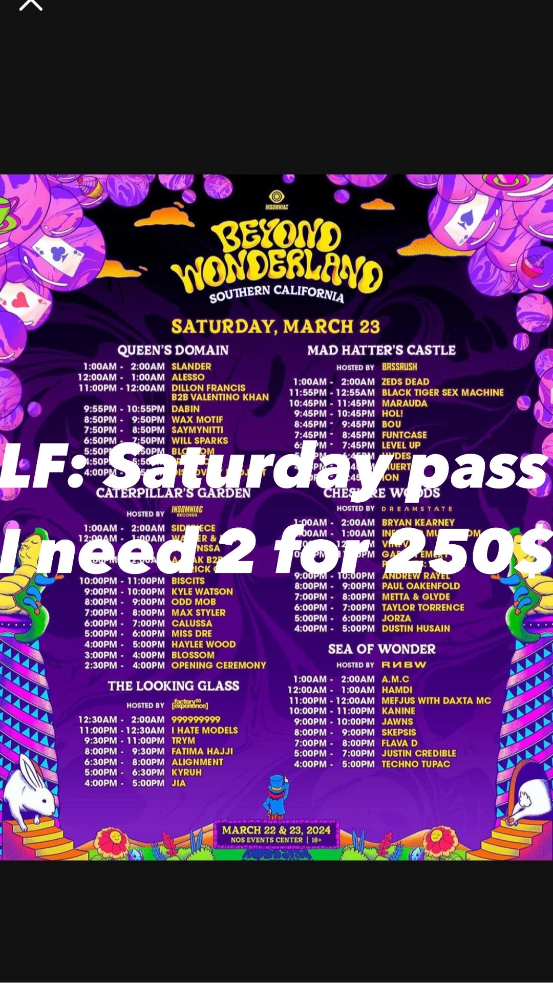 Beyond Wonderland