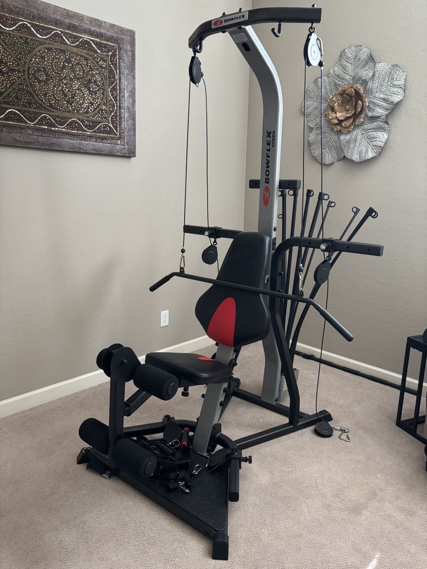 Bowflex Xceed Home Gym