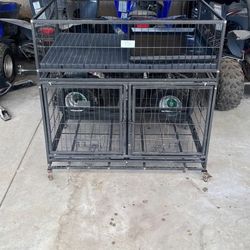 Dog Kennel 