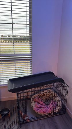 Doggy ramp
