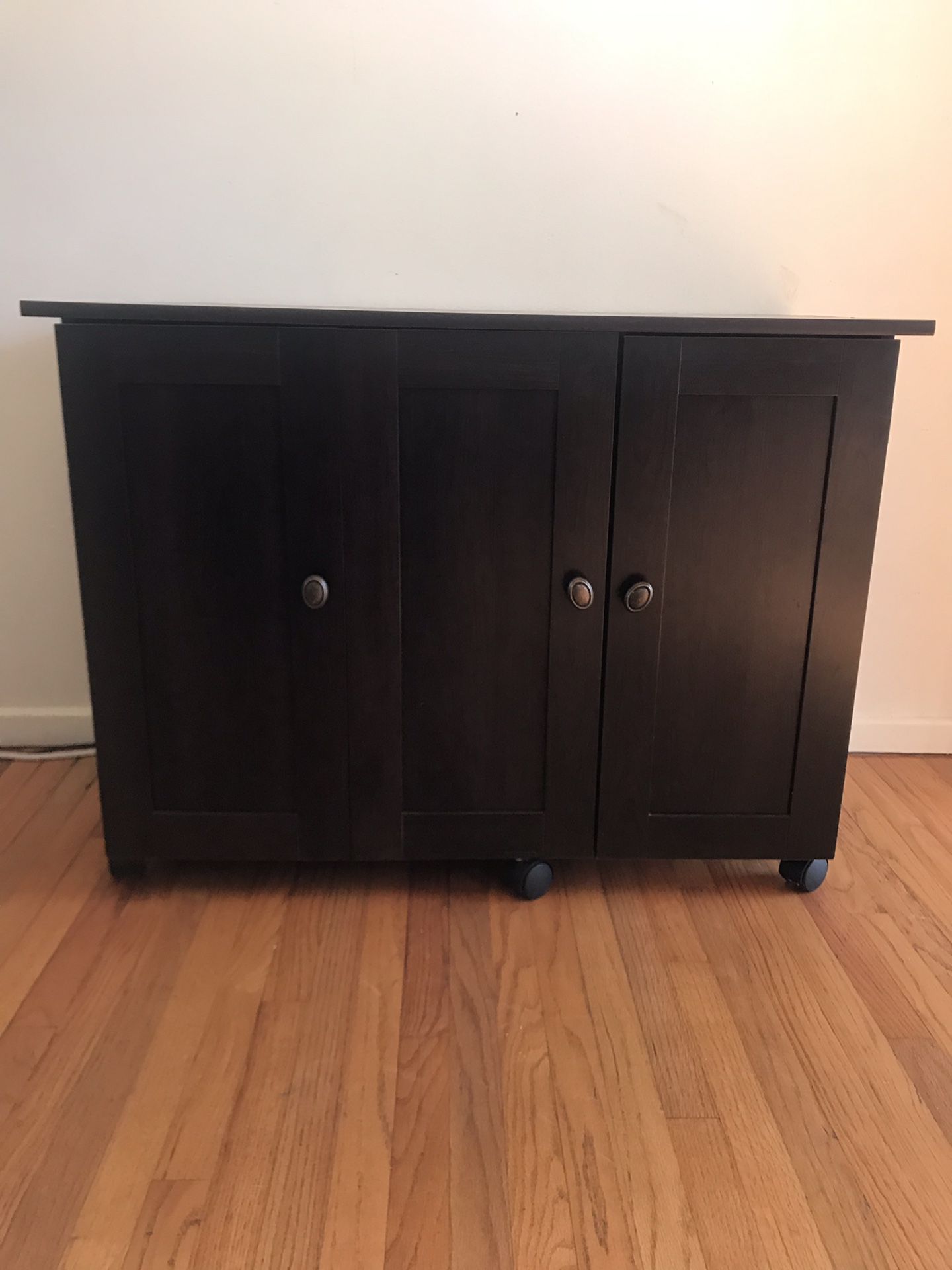 Sewing /Craft cabinet
