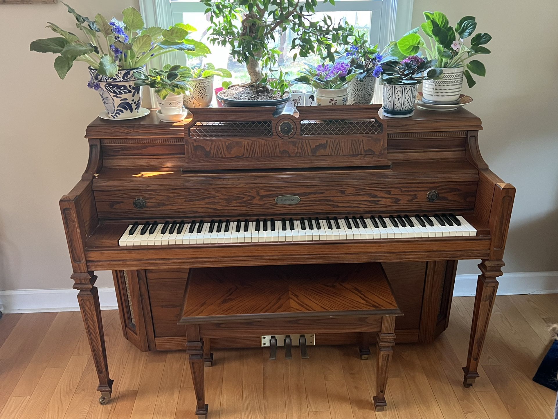 Musical Instruments