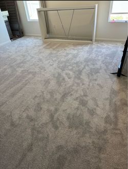 Carpet Light gray