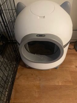 Cat box liter