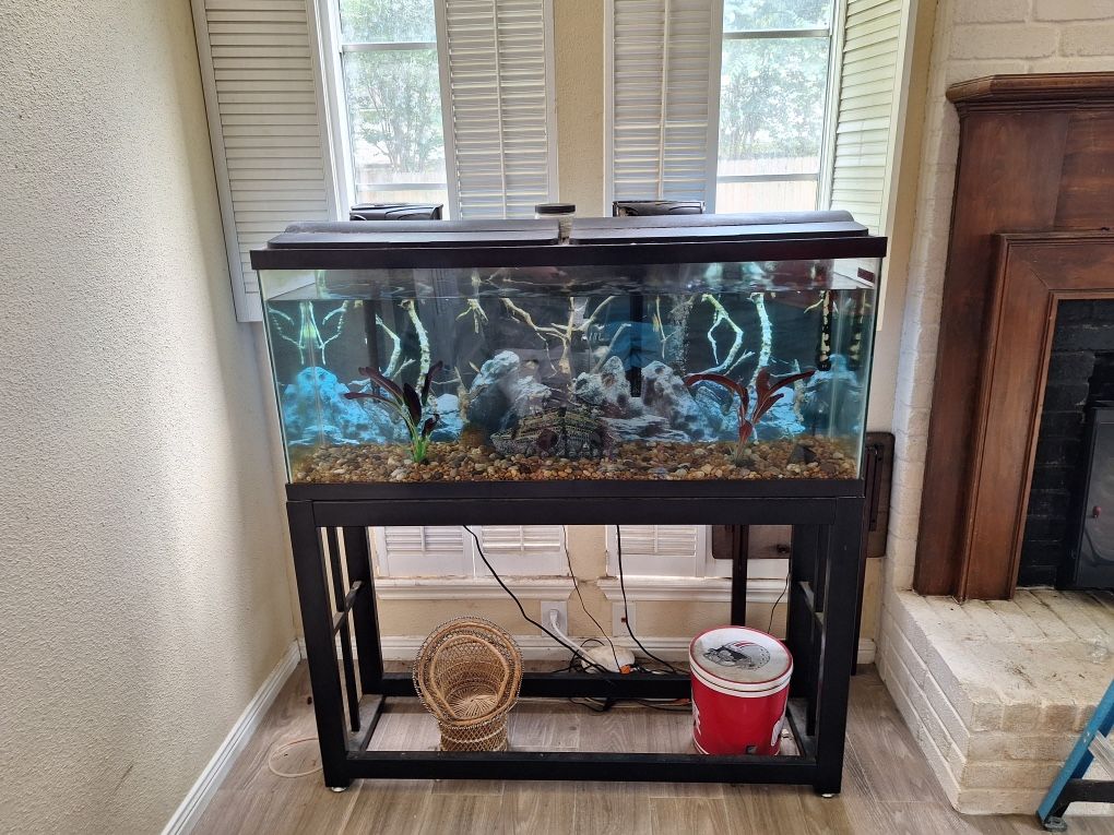 ebay 55 gallons fish tank with all accessories Gallon Stand Cabinet, Aquarium Stand with Open Shelf, Wooden Fish Tank Accessories, Heavy Duty Metal Fish Tank Stand Suitable for Turtle Tank,850LBS Capacity Black Wood Grain Finish 55g Tank and stand combo