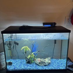37 Gallon Tank