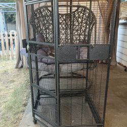 Bird Cage