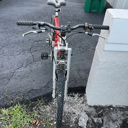 PRO FLEX 856 Mountain Bike