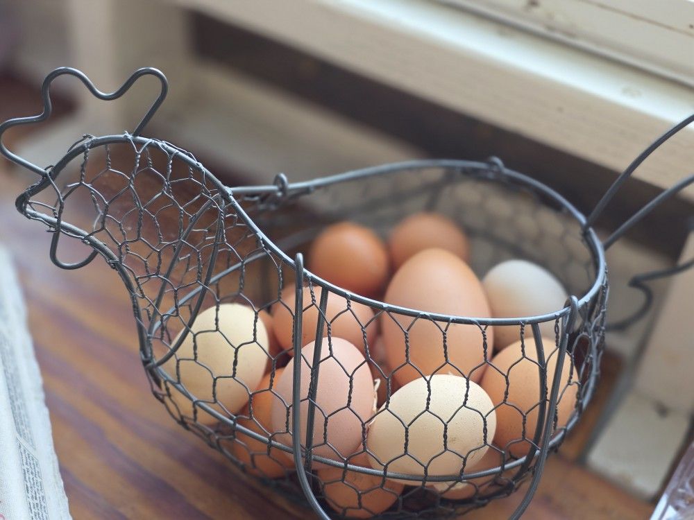 Fresh Eggs