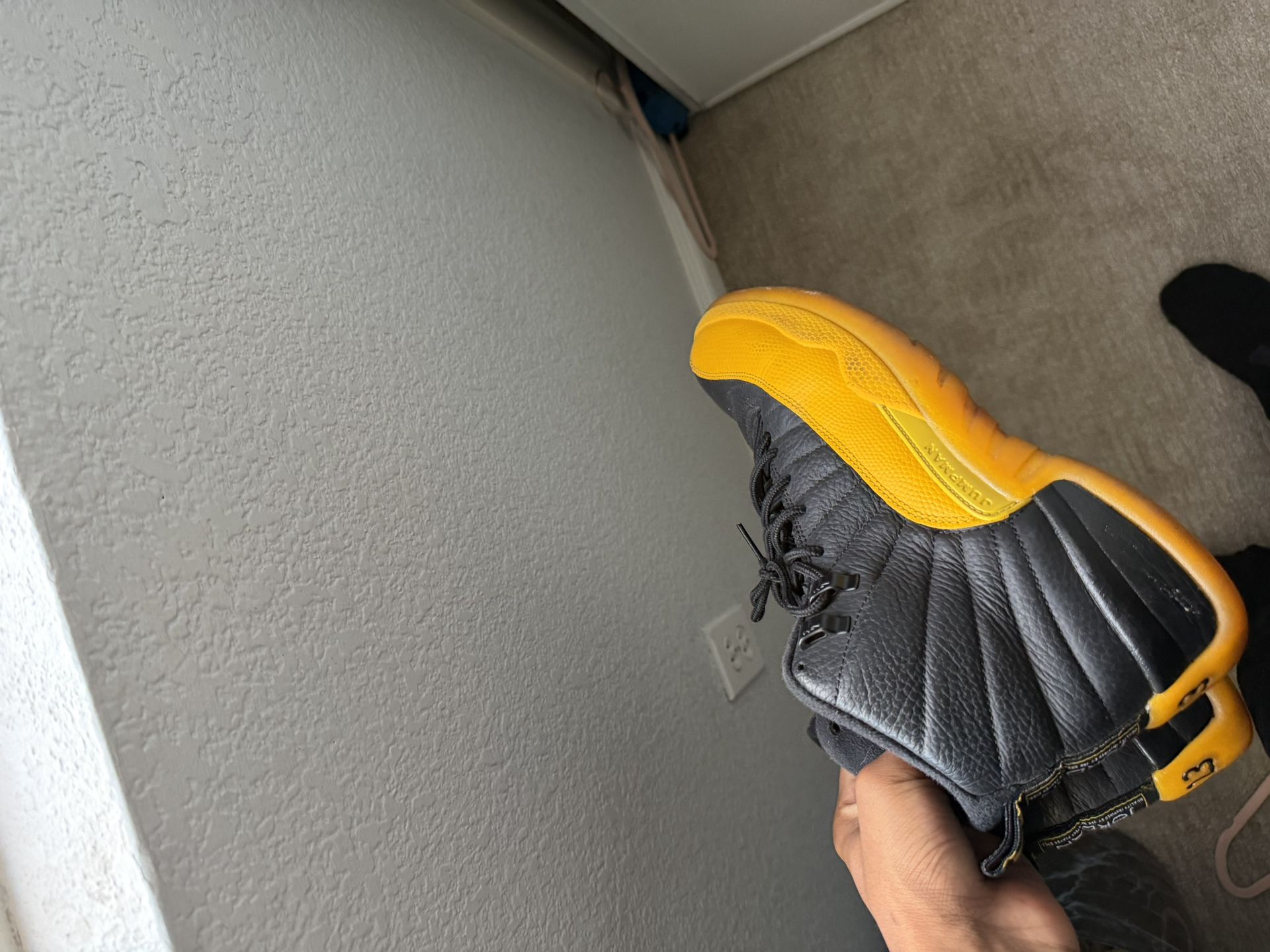 Jordan 12s Sz 9