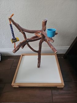 Bird perch