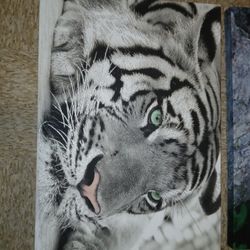 Tiger Decor