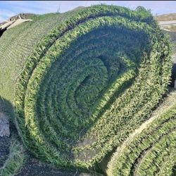 Synthetic Grass Used ** Alpine Ca 👍✨️💚♻️