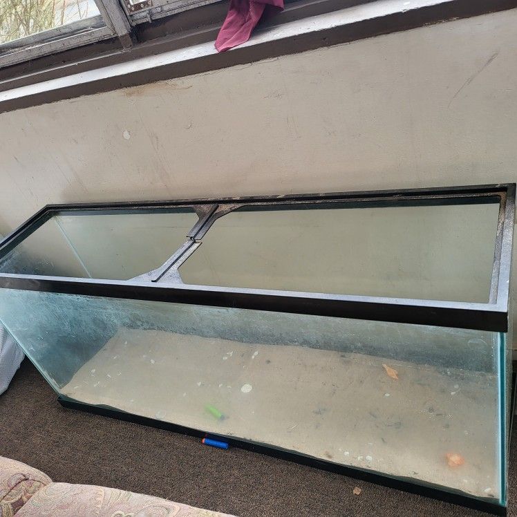 50 Gallon Tank