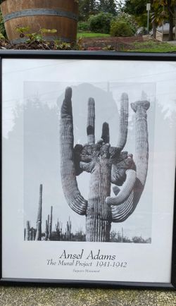 Ansel Adams picture