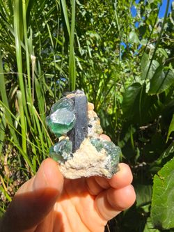 Green Fluorite on Black Tourmaline Crystal - Rare Minerals Namibia Schorl