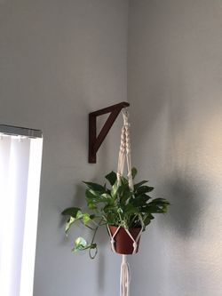Custom Plant Hangers