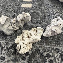 Beautiful Lot Of Texas Holy Rock - Natural Aquarium Decor 