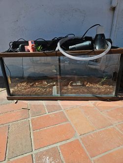 Glass Reptile Terrarium