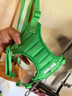 Green dog harness for medium to small dogs