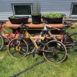 3 Mountain Bikes 