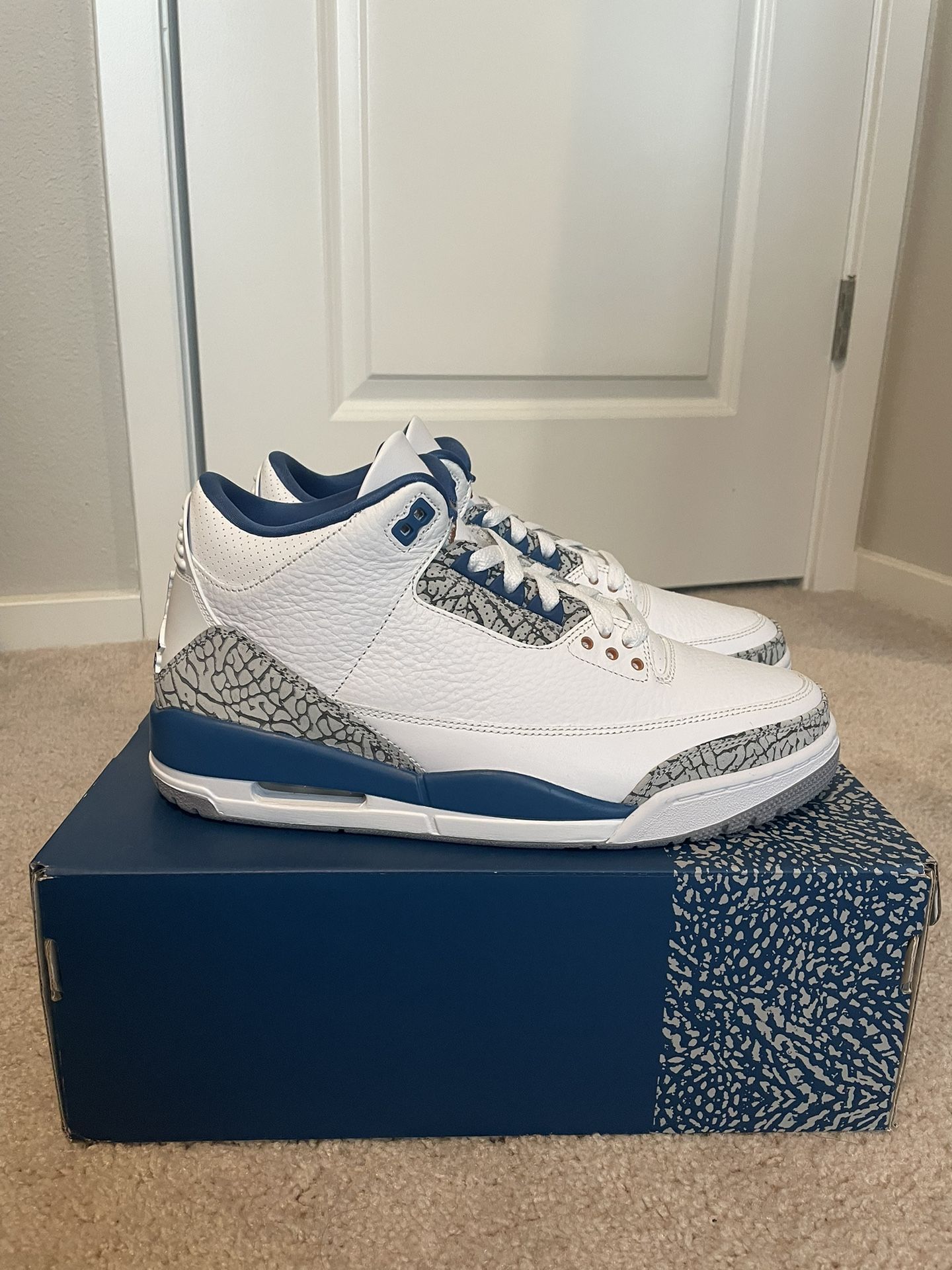 Jordan 3 Retro (brand new! 10)