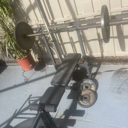 Bench press ( Palm Beach Area / Weights Included)